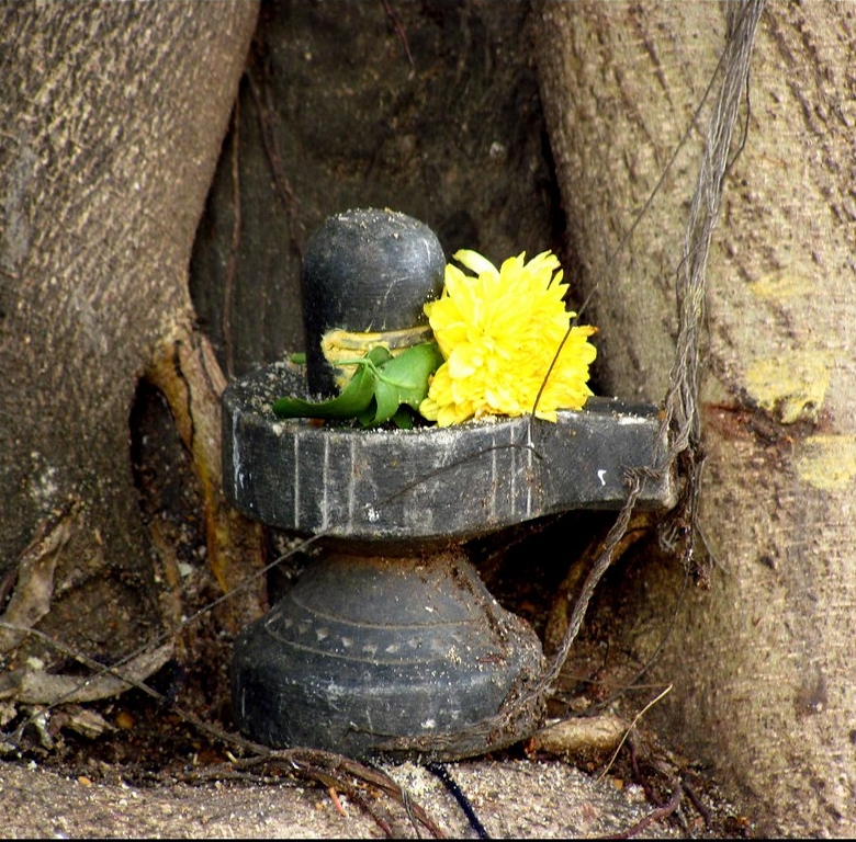 Dharmansh Helped Maha Shivaratri Celebrations in Jharkhand, India